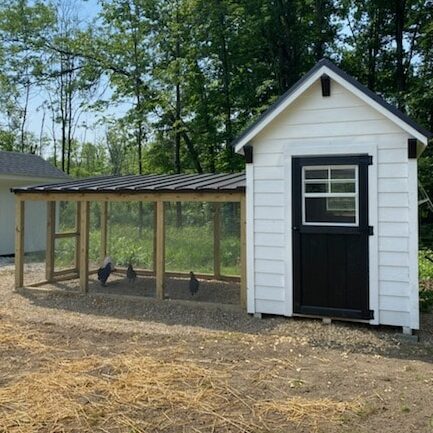 Custom chicken coop build