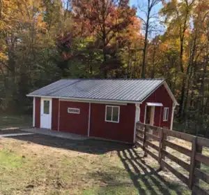 Red horse shed